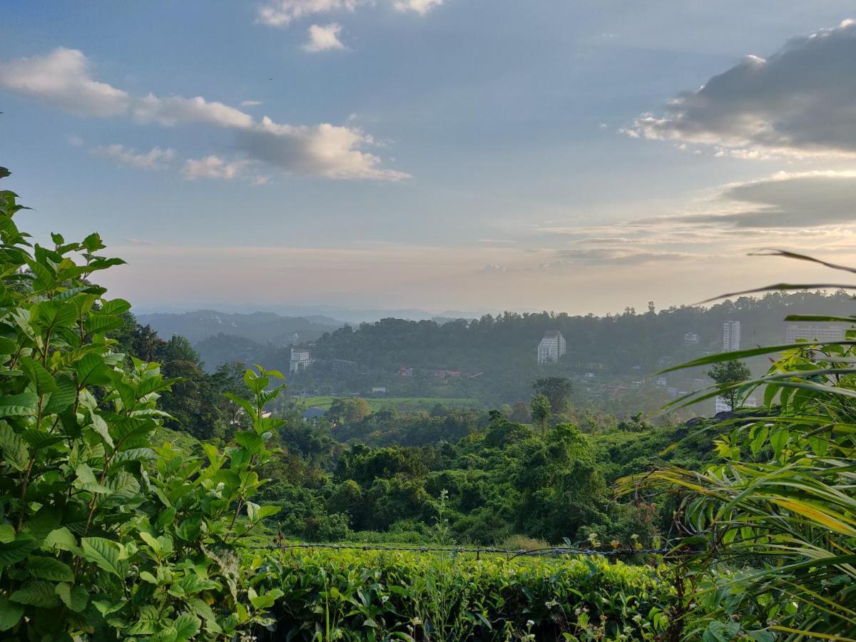 Chandys Windy Woods Munnar Ngoại thất bức ảnh